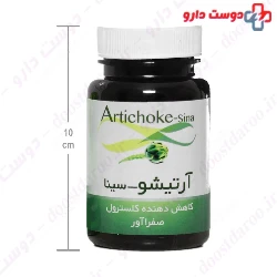 Artichoke Sina Sinafaravar