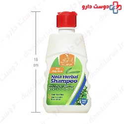 Nettle And Ziziphus Shampoo Nela