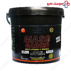 Mass Gainer P And F Pharma