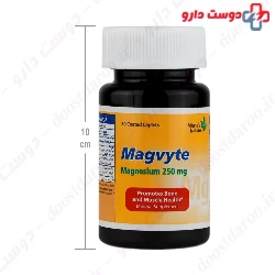 Vitane Magvyte 500 mg Tablet