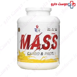 Mass 2600 g FBR