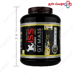 GT Mass iSS