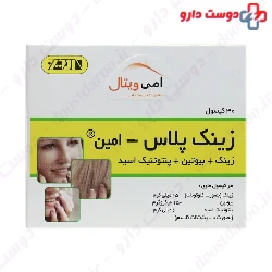 Zinc Plus Amin Ami Vital