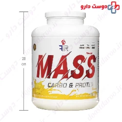 Mass 2600 g FBR