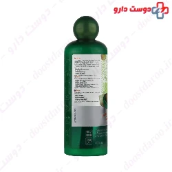 Macadamia Oil Anti Hair Loss Shampoo 05 Fabregas