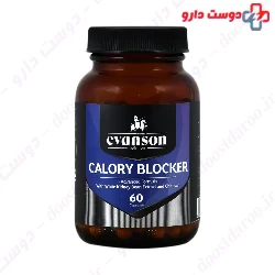 Evanson Nutrition Fat Burner 60 Capsules