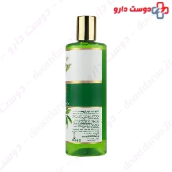 Green Tea Greasy Hair Shampoo Jiwana