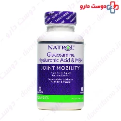 Glucosamine and Hyaluronic Acid and MSM Natrol