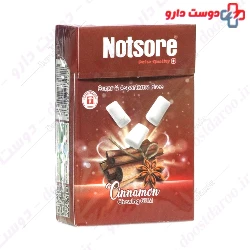 Nature's Way Sugar-Free Gum (Cinnamon)