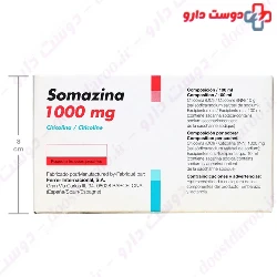 Somazina 1000 mg Ferrer