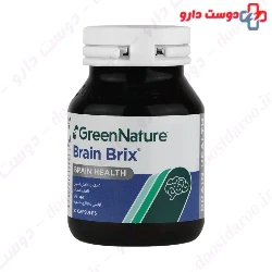 Brain Brix Green Nature