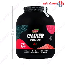 Gainer 1800 g Kalleh Pro