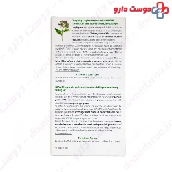Anti Hair Loss Shampoo With Quinine And B Vitamins Klorane