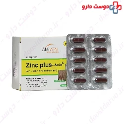 Zinc Plus Amin Ami Vital