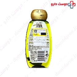 Olive Oil Repairing Shampoo Garnier