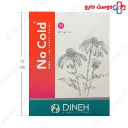 No Cold Dineh